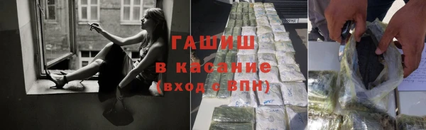 стаф Аркадак