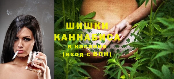 стаф Аркадак