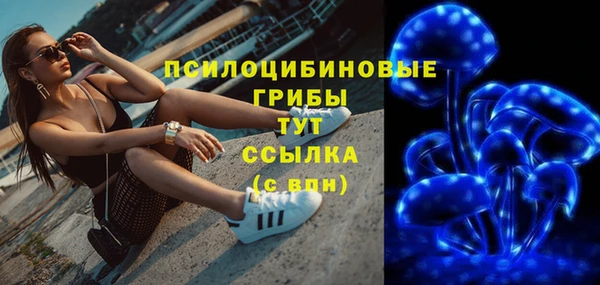 спайс Арсеньев