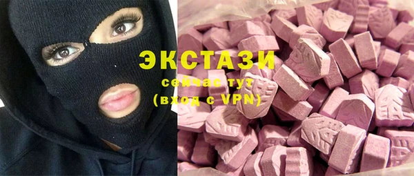 стаф Аркадак
