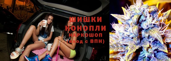 стаф Аркадак