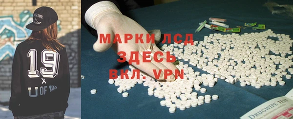 стаф Аркадак